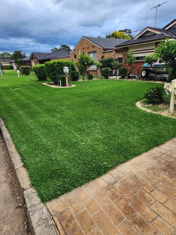 Freshly mowed and edged front lawn in Western Sydney