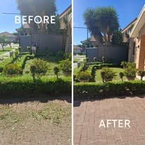 Front yard hedging and lawn tidy-up, before and after
