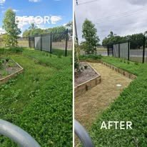 Overgrown side yard cleared and mowed, before and after